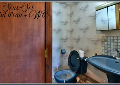 Annonces immobilières à Buxerolles 86180 - Point d’eau et WC au sous-sol - agence immobilière