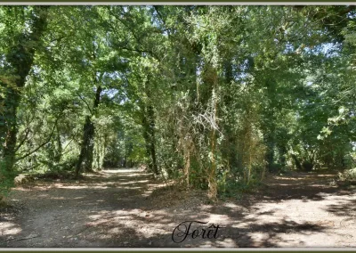 Annonces immobilières à Biard 86580, aux portes de Poitiers, vue sur la forêt - agence immobilière - Buxerolles 86180