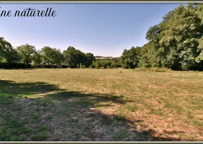 Annonces immobilières à Biard 86580, aux portes de Poitiers, zone naturelle - agence immobilière - Buxerolles 86180