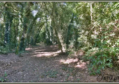 Annonces immobilières à Biard 86580, aux portes de Poitiers, forêt privative - agence immobilière - Buxerolles 86180