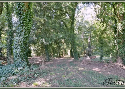 Annonces immobilières à Biard 86580, aux portes de Poitiers, forêt privative - agence immobilière - Buxerolles 86180