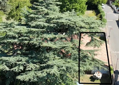 Annonces immobilières à Biard 86580 grange garage à transformer augustins – vue drone sous grand cèdre montrant la toiture en copropriété et la délimitation de la parcelle – agence immobilière – Buxerolles 86180