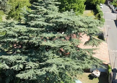 Annonces immobilières à Biard 86580 – Vue aérienne arrière de la maison et des grands arbres - Agence Immobilière - Buxerolles 86180