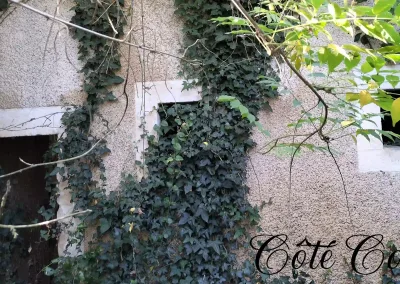 Annonces immobilières à Biard 86580 terrain constructible bâtiment à rénover augustins - façade côté cour recouverte de végétation du bâti existant - agence immobilière - Buxerolles 86180