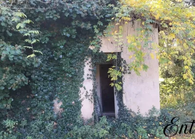 Annonces immobilières à Biard 86580 terrain constructible bâtiment à rénover augustins - entrée du bâti existant envahie de végétation - agence immobilière - Buxerolles 86180