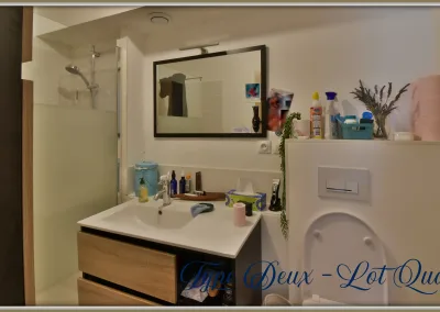Annonces immobilières à Buxerolles 86180 - Didot - salle d’eau moderne avec douche, meuble vasque et WC intégré - agence immobilière