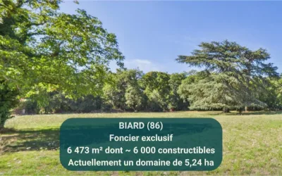 BIARD 86580, terrain constructible 6 473 m² – Rue des Augustins